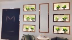 -MIVI半永久纹眉纹绣