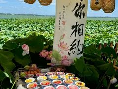 -七的湖·晚芳亭·阳澄湖农家菜·大闸蟹(莲花岛店)