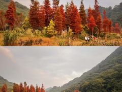 -广州市石门国家森林公园