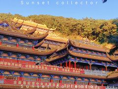 -东莞市大岭山森林公园
