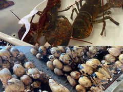 -南沙十九涌渔人码头-南门