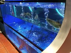 -鱼酷活鱼烤鱼(恒隆广场店)