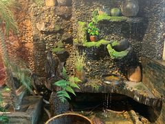 -大匠工房古船木艺术餐厅·猪肚鸡专门店(长白仙岛店)