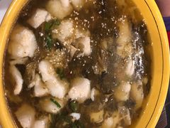 -熊猫川菜馆 panda chine