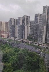 -诗安嘉康月子中心(金阳店)
