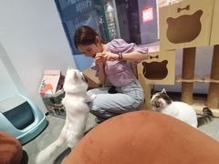 -瞄一喵猫咖(格力海岸店)