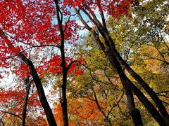 -五女峰国家森林公园