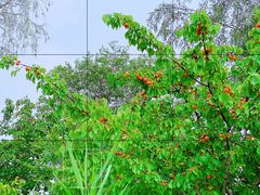 -野鸭湖国家湿地公园