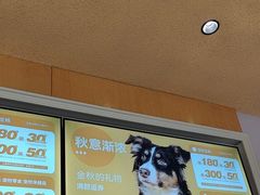 -帕帕拉兹宠物(亚洲旗舰店)