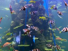 -石林冰雪海洋世界