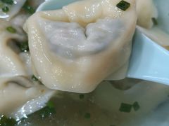 特色荠菜肉馄饨-潘国仙耳光馄饨(黄家阙路店)