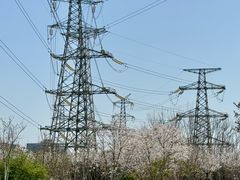 -外高桥保税区南(地铁站)