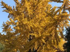 -红小满休闲餐厅(十全街店)