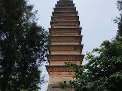 -洛阳白马寺