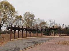 -永定河休闲森林公园