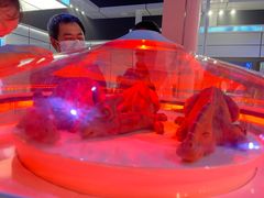 -侏罗纪世界电影特展(广州站)