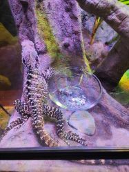 -酷嗒动物文化乐园(cutezoo西溪乐天城店)