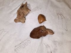 -阿婆潮汕砂锅粥(王府大街店)