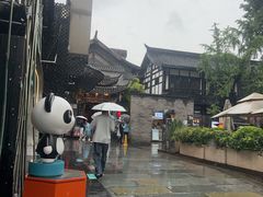 -小龙翻大江文化火锅(宽窄店)