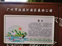 -广州市流溪河国家森林公园