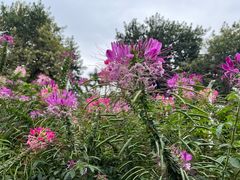 -人民公园(罗湖区)