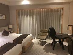 -河源万绿湖美思威尔顿酒店
