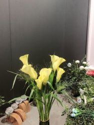 -宸山医美·变美艺术馆