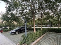 -永定河休闲森林公园