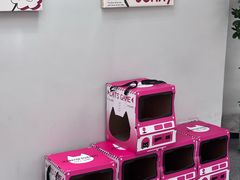 -静宜和她的朋友(星海广场店)
