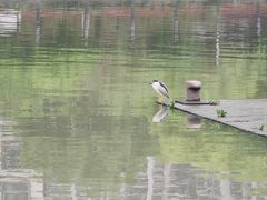 -苏州河梦清园环保主题公园