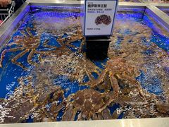 -盒马X会员店(上海森兰商都店)