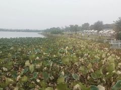 -梁子湖东篱老屋生态庄园