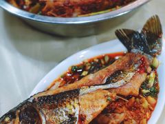 邮亭鲫鱼-曾老幺鱼庄(龙华商厦店)