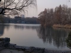 -鹊华居·地道鲁菜·海鲜·融合味(大明湖店)