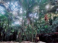 -龙达温泉生态城