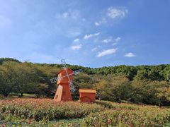 -苏州上方山国家森林公园