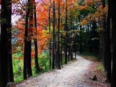 -南岳衡山风景名胜区