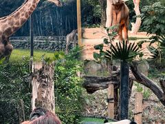 -广州长隆野生动物世界