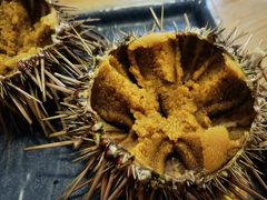 -海胆小馆(东北水饺·春柳店)