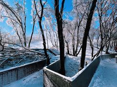 -中旅松花湖滑雪场