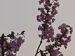-钟山体育运动公园