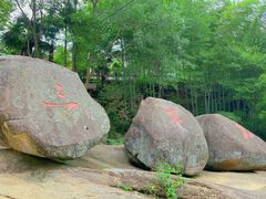 -山沟沟景区