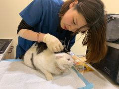 -萌兽医馆·犬猫专科·眼科中心·宠物医院(朝阳门分院)