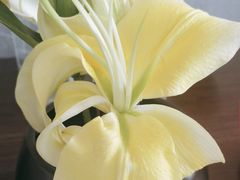 -晓长安·新陕菜(曲江店)