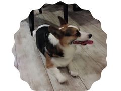 -百好乐宠物友好餐厅(朝外大街店)