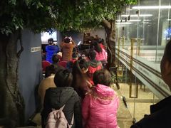 音乐会-北京圣典成人钢琴俱乐部(德思勤店)