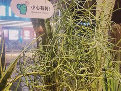 -隅乐胡椒虾·台湾菜·团建(皇岗店)