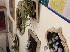 -雕刻时光咖啡馆(北师大店)