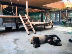 -西安秦岭野生动物园
