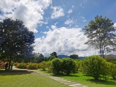 -中国科学院西双版纳热带植物园